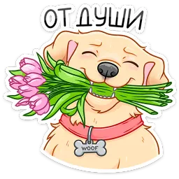 Вместо слов Эделия Исламова sticker 7