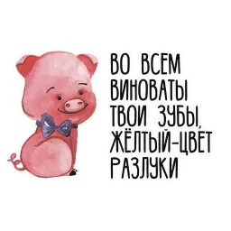 11 sticker 6