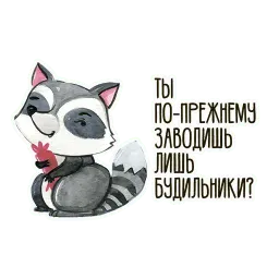 11 sticker 10