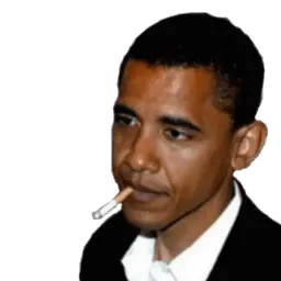 obama sticker 12