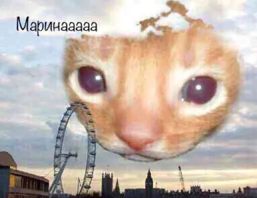 OhMyChat Telegram sticker pack