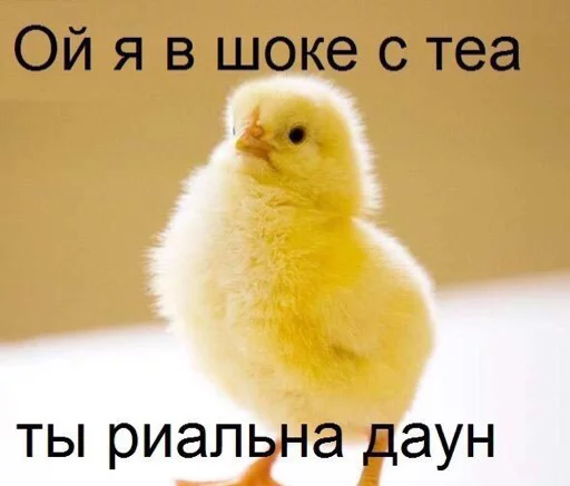 OhMyChat sticker 7