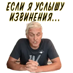 Тиньков не уголовник sticker 3