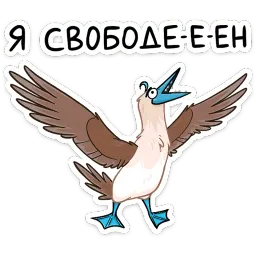 Олуша sticker 5