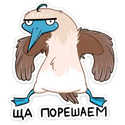 Олуша sticker 10
