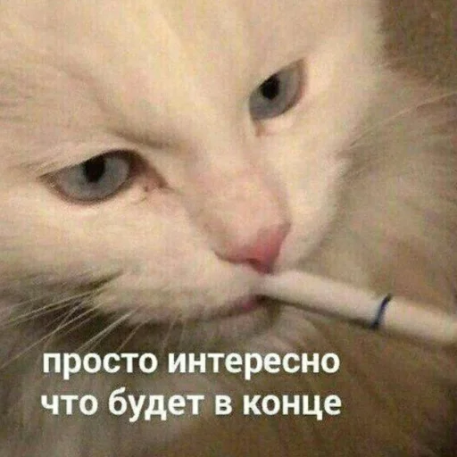 Orevo dlya ВП sticker 12