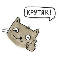 Olla sticker 9