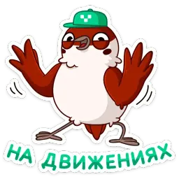 Осенний Чирик sticker 6