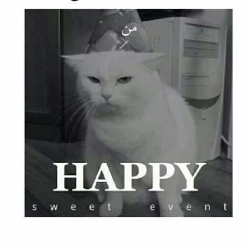 Ostrich sticker 2