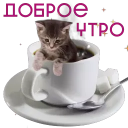 Открыточки ilgmyzin sticker 4