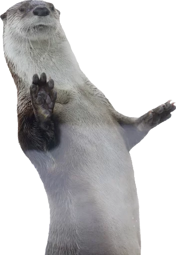 Otters Gotta Ott 2 sticker 9
