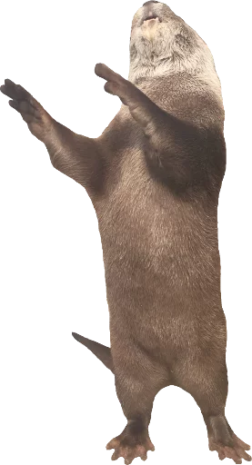 Otters Gotta Ott 2 sticker 10