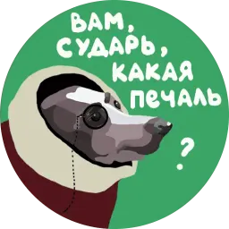 -> @ourpiter Telegram sticker pack