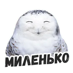 Жиза сов @lennysticker Telegram sticker pack