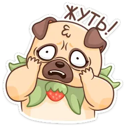 Падди sticker 11