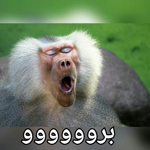 نهار خوری:(@vanguardam) sticker 4