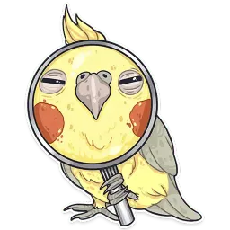 Папуги sticker 2