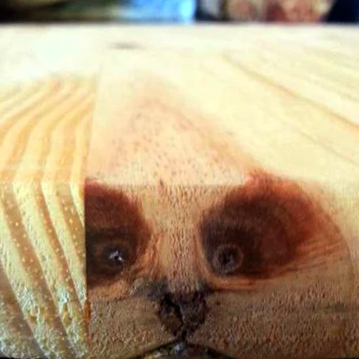 pareidolia sticker 11