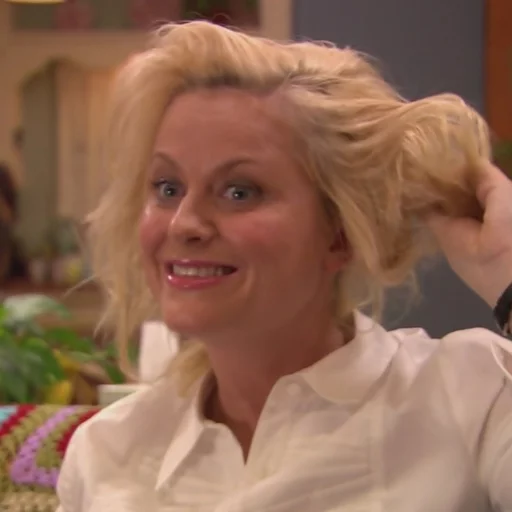 Parks and Recreation sticker 5