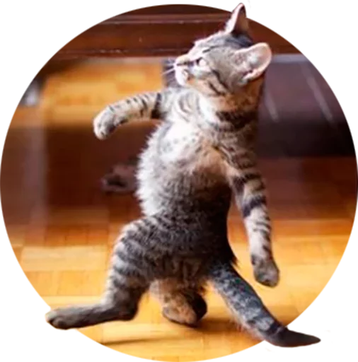 Bek Payshanba sticker 12