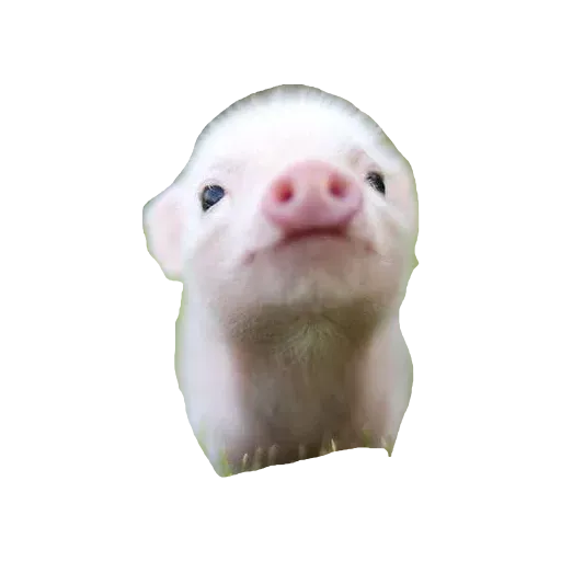 Peepo sticker 86
