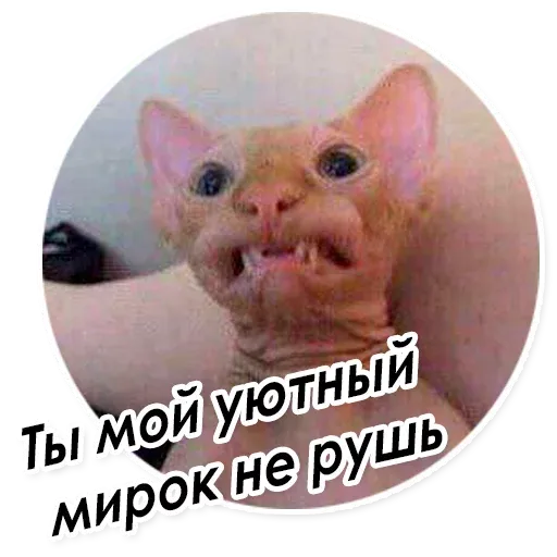 Персик sticker 55