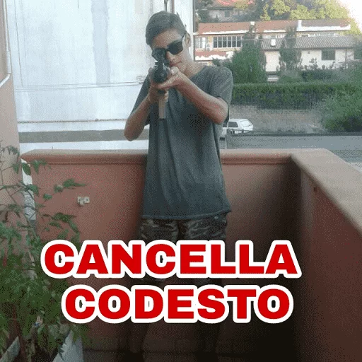 @sei_stato_adottato pescara pack sticker 4