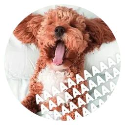 🐶 Пёськи тьмок sticker 2