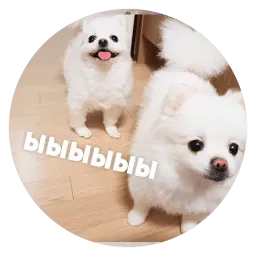 🐶 Пёськи тьмок sticker 11