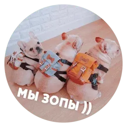 🐶 Пёськи тьмок sticker 12