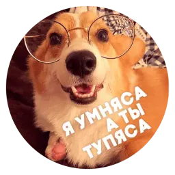 🐶 Пёськи тьмок sticker 3