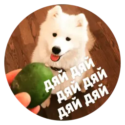 🐶 Пёськи тьмок sticker 4
