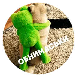 🐶 Пёськи тьмок sticker 8
