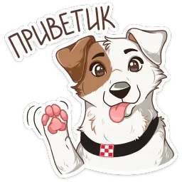 Питомцы Telegram sticker pack