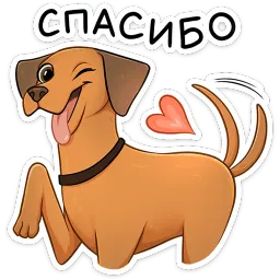 Лучшие друзья Питомцы sticker 2