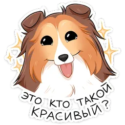 Лучшие друзья Питомцы sticker 5