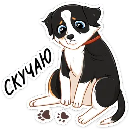 Лучшие друзья Питомцы sticker 8