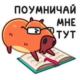 Пиби sticker 12