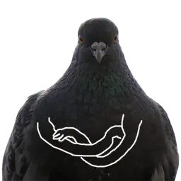 Pigeons with hands Telegram sticker pack