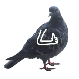 Pigeons with hands sticker 10