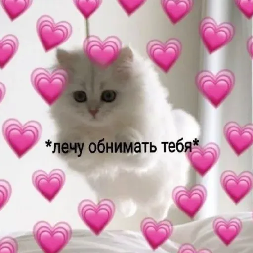 pikchikotikisoniki sticker 11