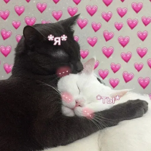 pikchikotikisoniki sticker 12