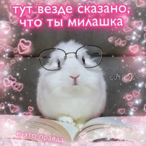 pikchikotikisoniki sticker 15