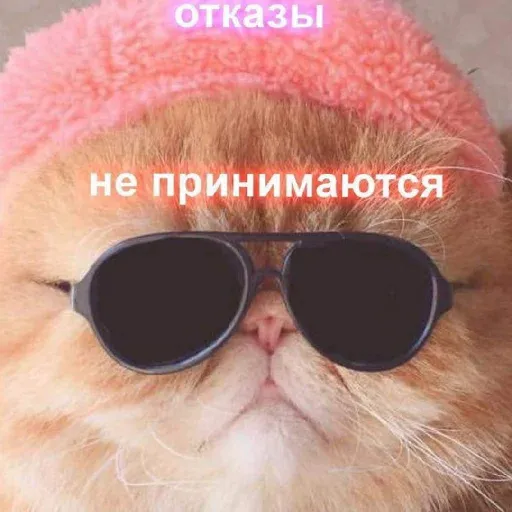 pikchikotikisoniki sticker 17