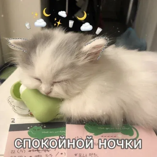 pikchikotikisoniki sticker 19