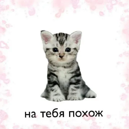 pikchikotikisoniki sticker 21