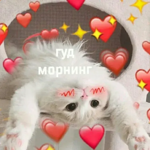 pikchikotikisoniki sticker 28