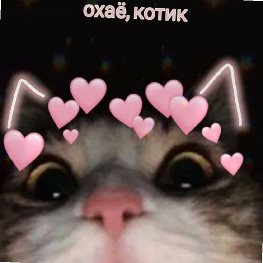 pikchikotikisoniki sticker 36