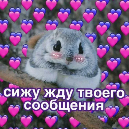 pikchikotikisoniki sticker 5