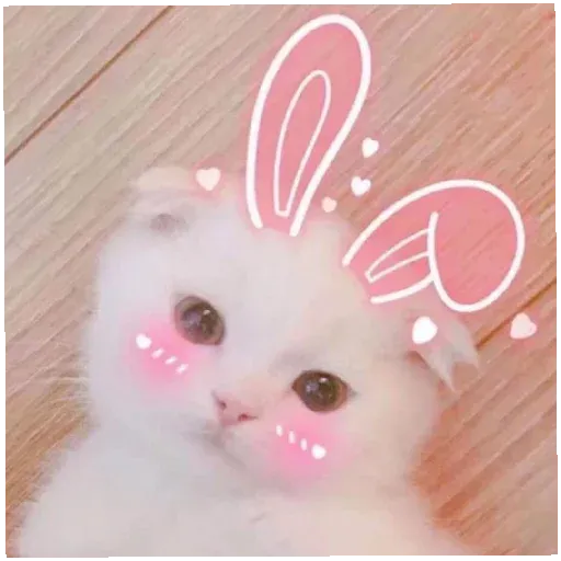 pikchikotikisoniki sticker 42